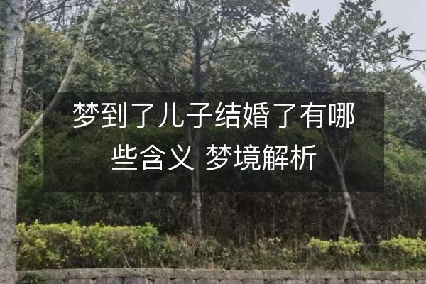 梦到了儿子结婚了有哪些含义 梦境解析