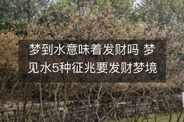 梦到水意味着发财吗 梦见水5种征兆要发财梦境解析