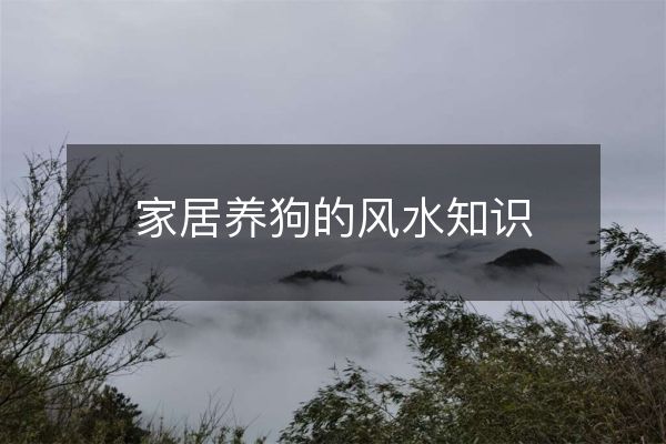 家居养狗的风水知识