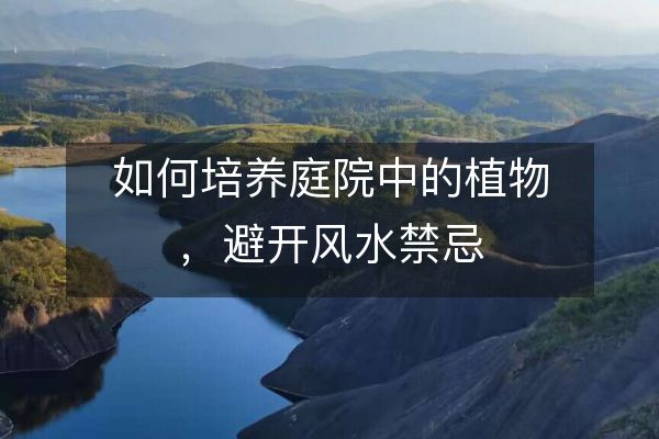 如何培养庭院中的植物，避开风水禁忌