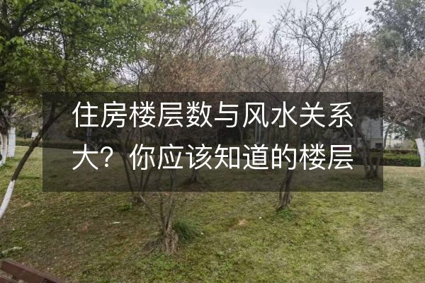 https://www.d5168.com/d/file/zs/fengshuizhishi/2023-09-11/c4a5e50689b38ddd2087230321564ea7.jpeg