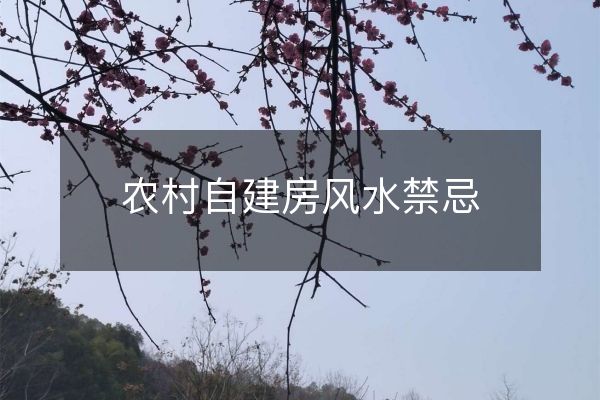 农村自建房风水禁忌