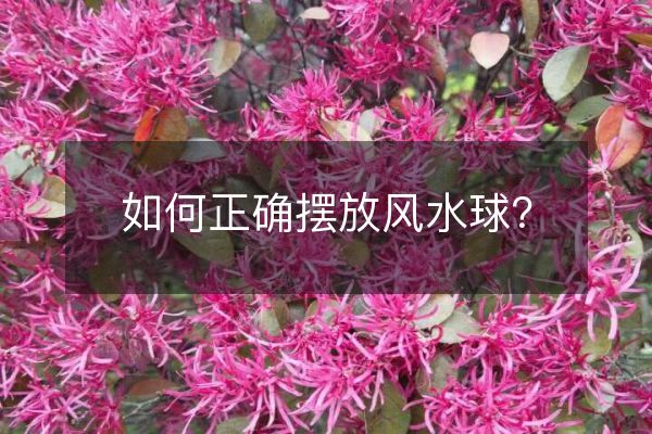 如何正确摆放风水球？