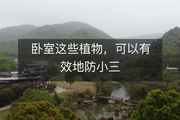 https://www.d5168.com/d/file/zs/jj/2023-08-23/8ae996c062f50e8092d7c0e79ba9f971.jpeg