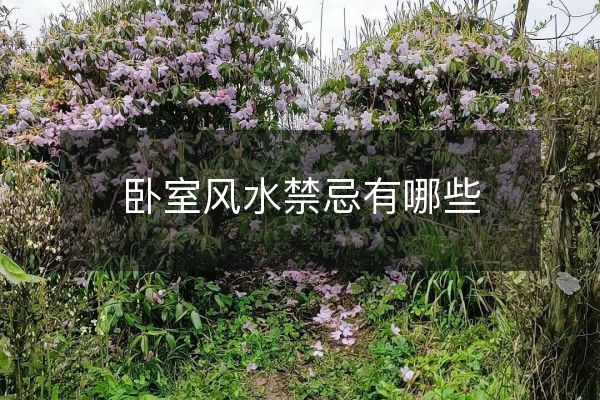 卧室风水禁忌有哪些