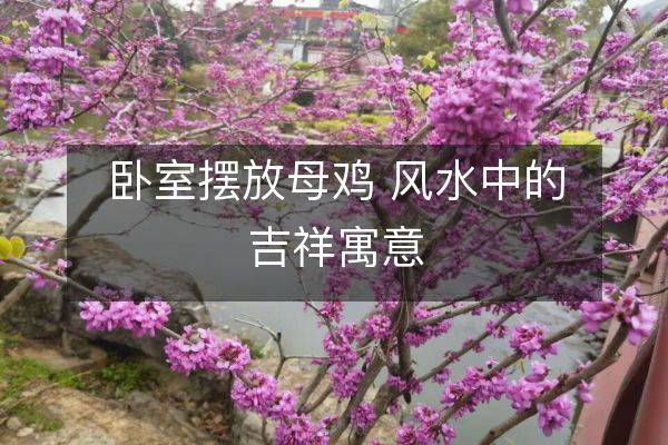 卧室摆放母鸡 风水中的吉祥寓意