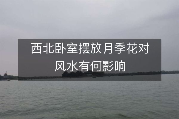 西北卧室摆放月季花对风水有何影响