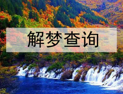 猫是好事还是坏事